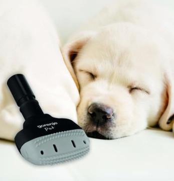 Пылесос Gorenje VCEA28GLBK  - Фото  1