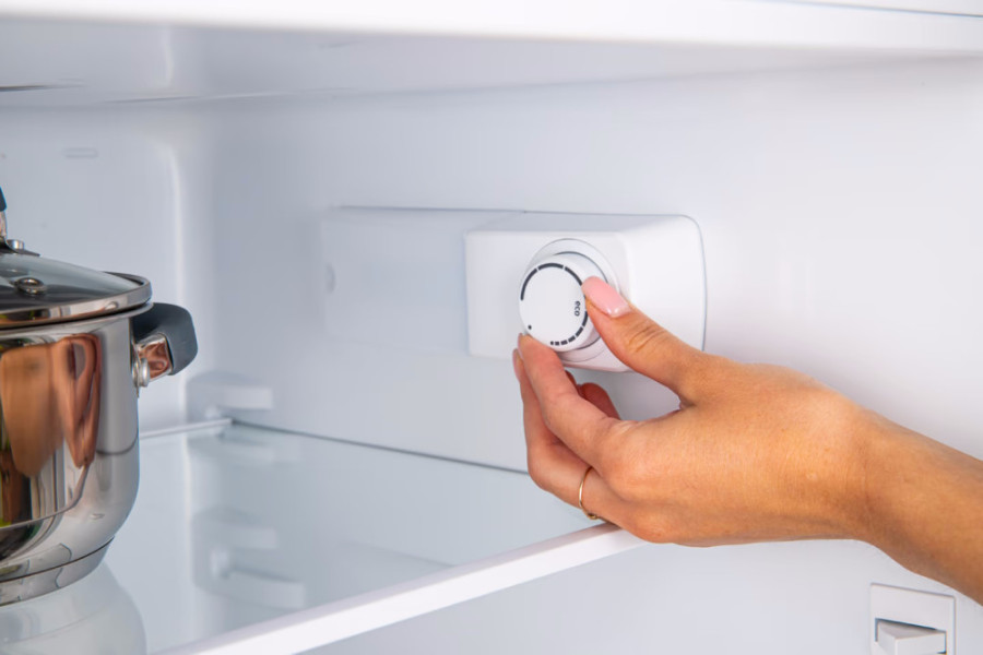  Холодильник Gorenje RF4142PW4 