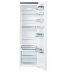 Холодильник вбудований Gorenje RI 2181 A1