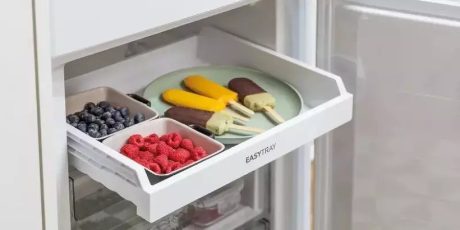  Морозильна камера Gorenje F4142PW 