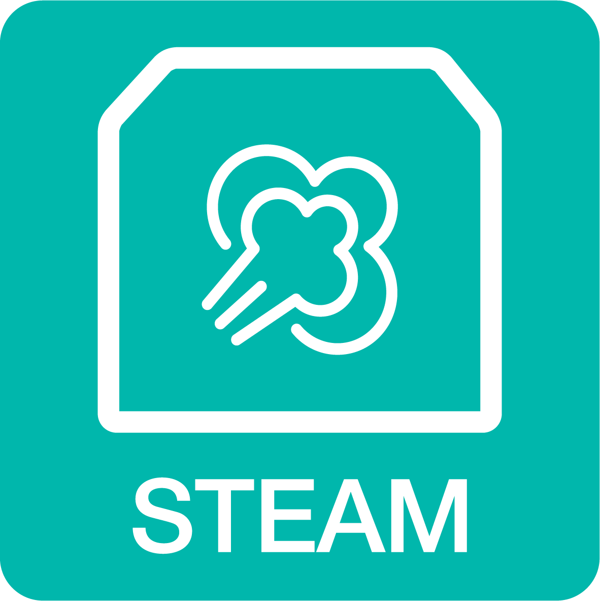 ExtraSteam